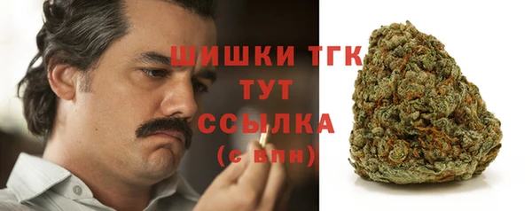 мдпв Иннополис