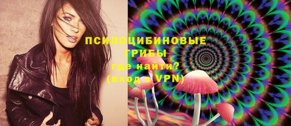 марки lsd Абаза