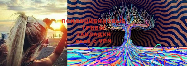 ГАЛЛЮЦИНОГЕННЫЕ ГРИБЫ Абинск