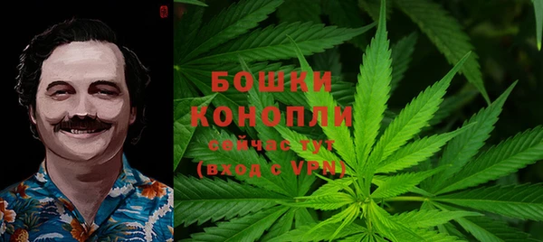 ГАЛЛЮЦИНОГЕННЫЕ ГРИБЫ Абинск
