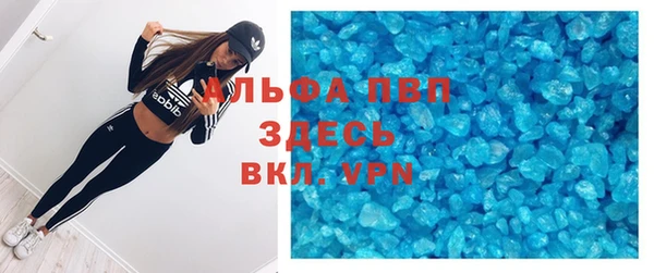 ПСИЛОЦИБИНОВЫЕ ГРИБЫ Вяземский