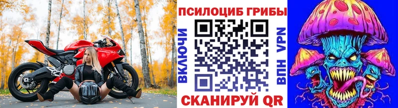 Псилоцибиновые грибы Cubensis  ссылка на мегу ссылка  Ленинградская 